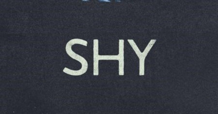Diane Stubbings reviews Shy by Max Porter