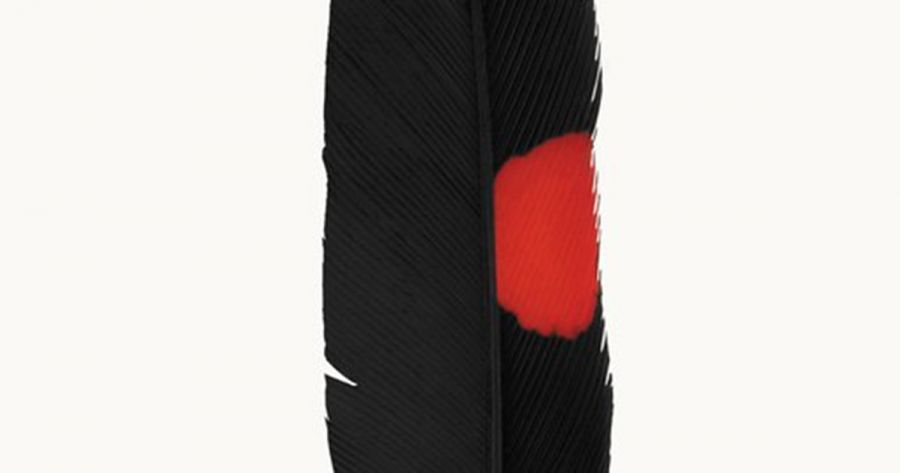 Nicole Hasham reviews ‘On This Ground: Best Australian nature writing’ edited by Dave Witty