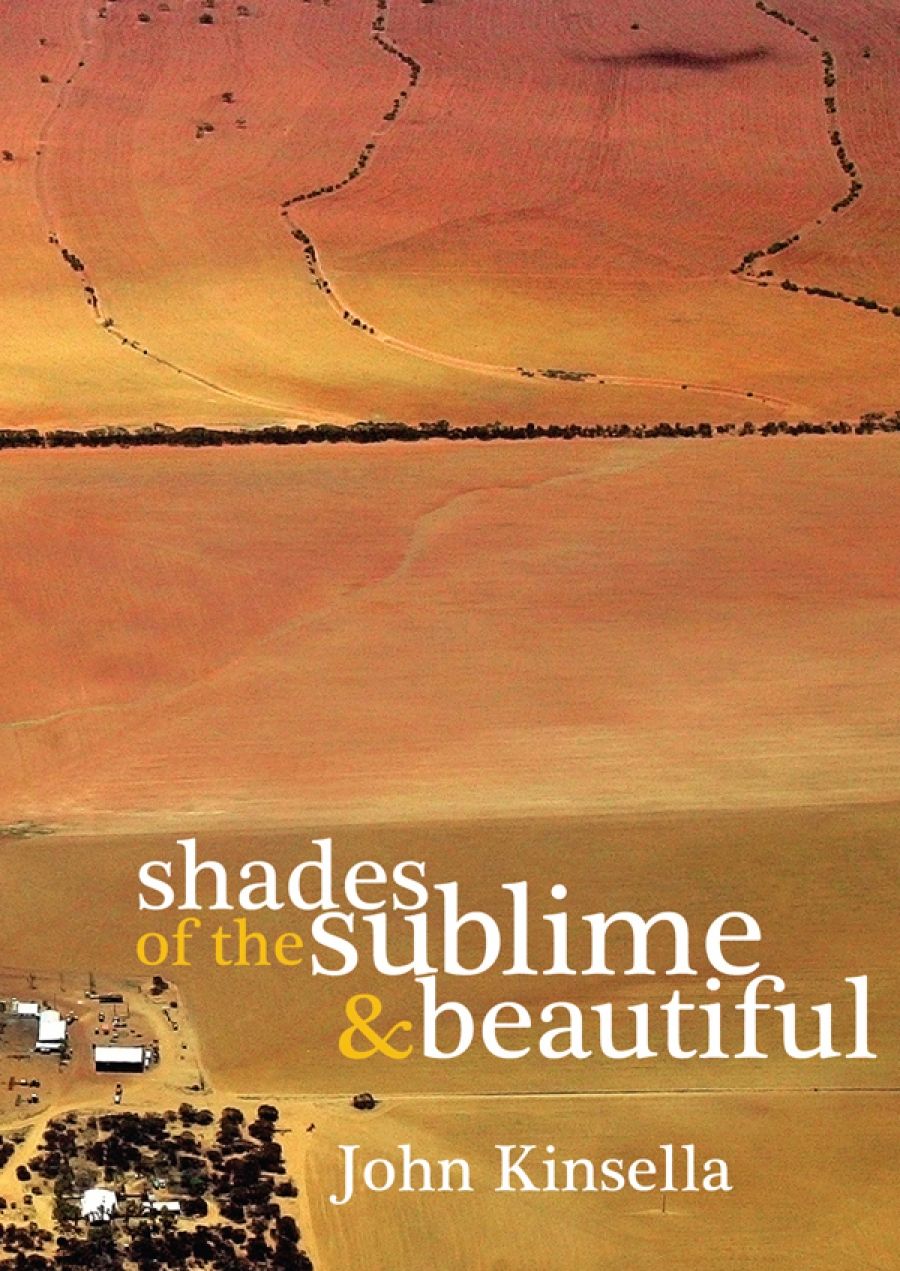 Nicholas Birns reviews Shades of the Sublime and the Beautiful by John Kinsella