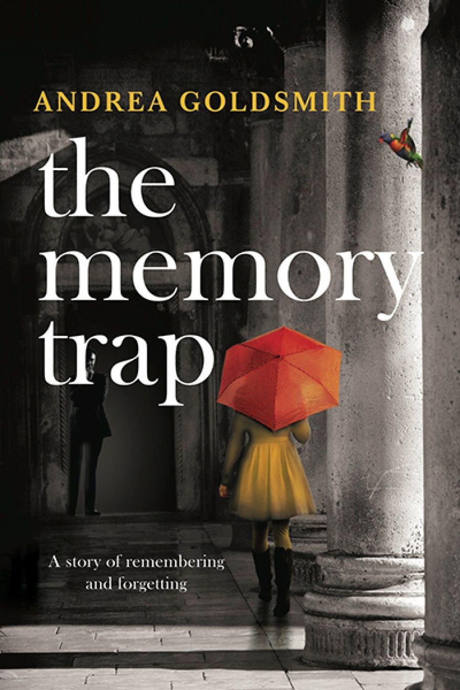 Jan McGuinness reviews The Memory Trap by Andrea Goldsmith