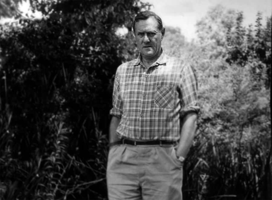 Packaging White by Humphrey McQueen