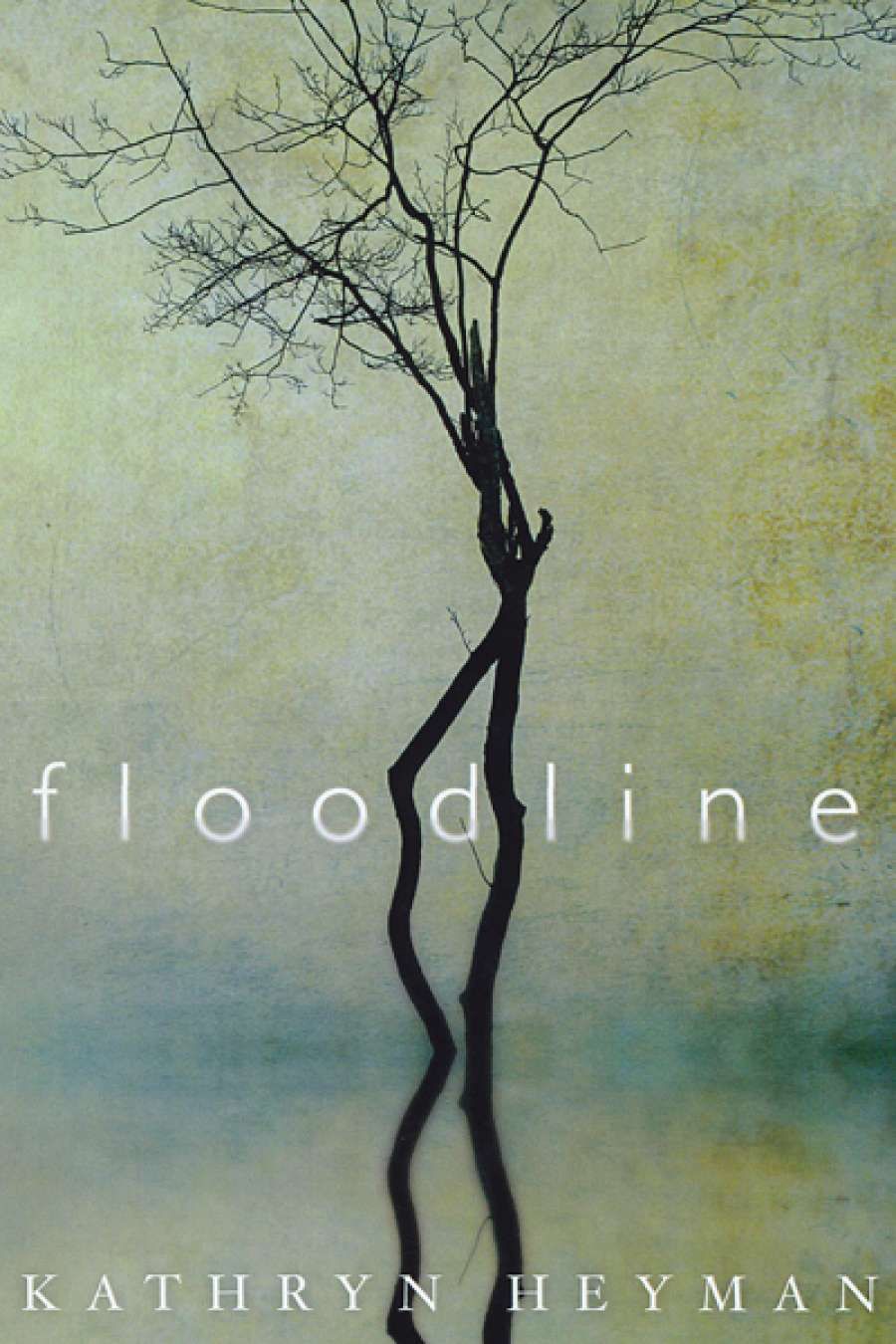 Carol Middleton reviews Floodline by Kathryn Heyman