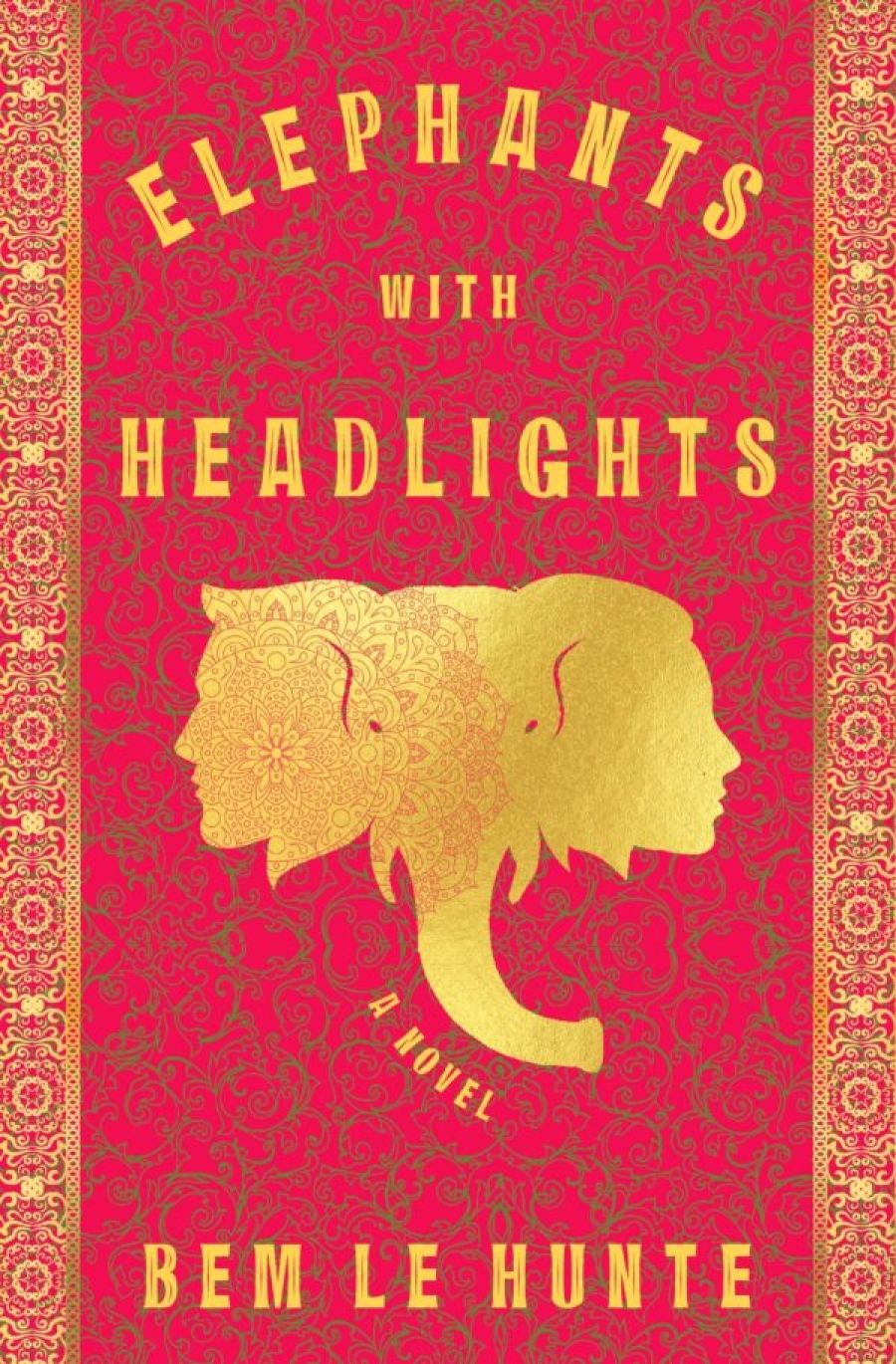 Declan Fry reviews Elephants with Headlights by Bem Le Hunte