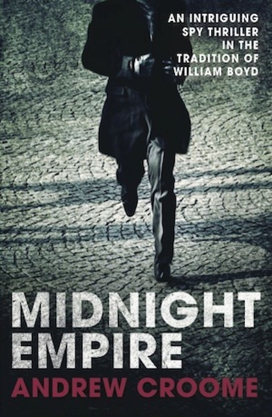 Jay Daniel Thompson reviews Midnight Empire by Andrew Croome