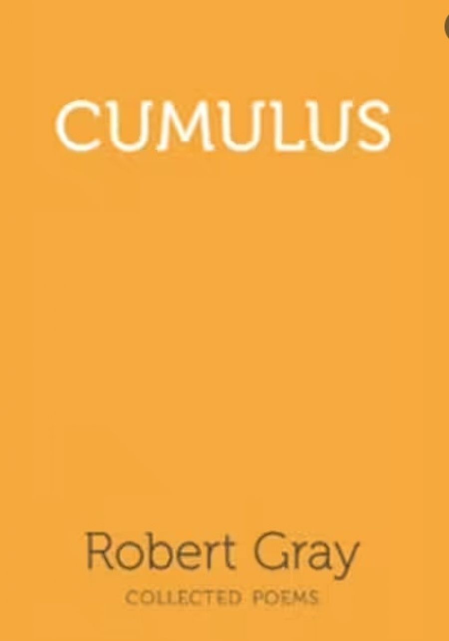 Martin Duwell reviews Cumulus by Robert Gray