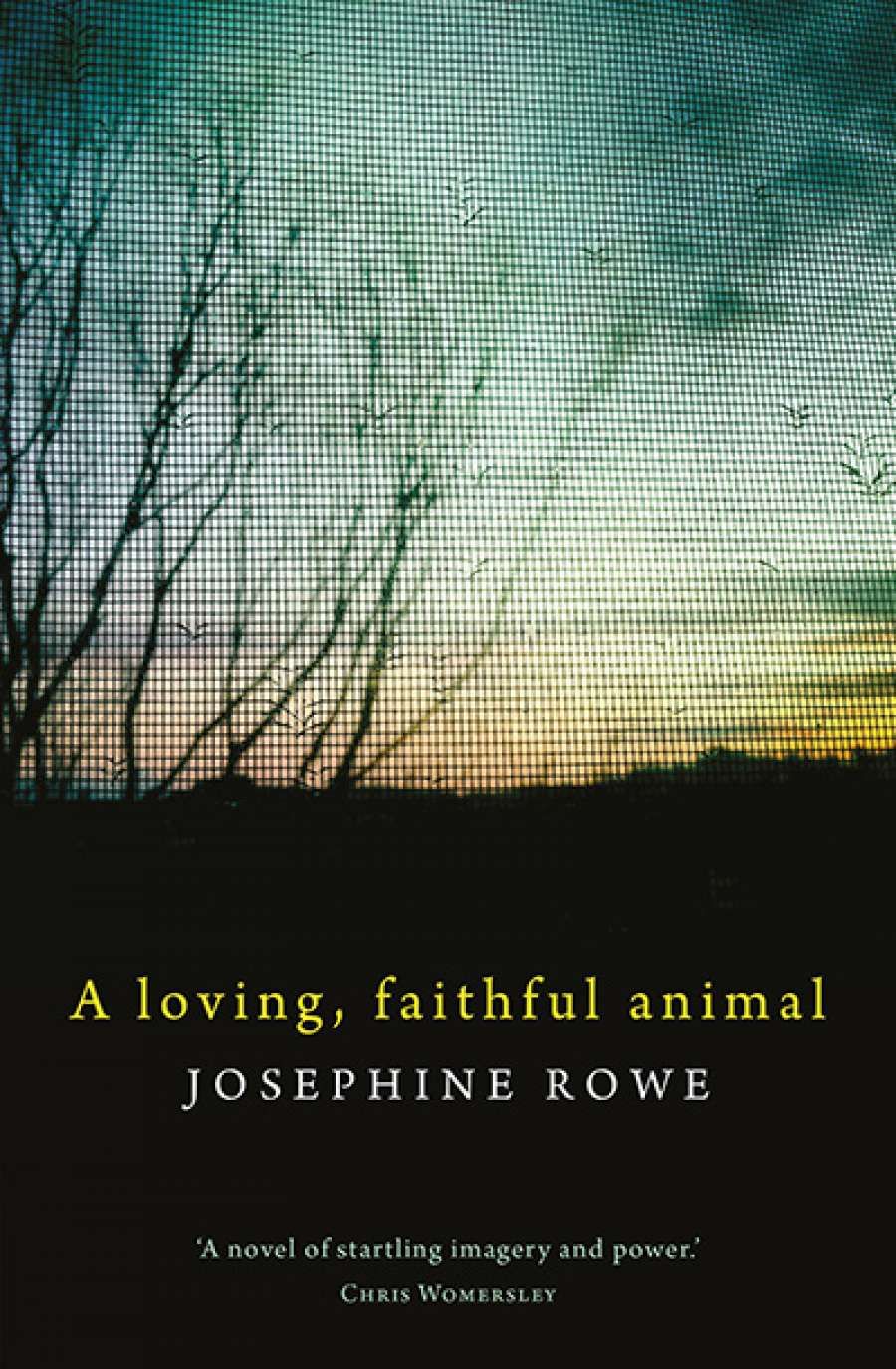 Kate Holden reviews A Loving, Faithful Animal by Josephine Rowe