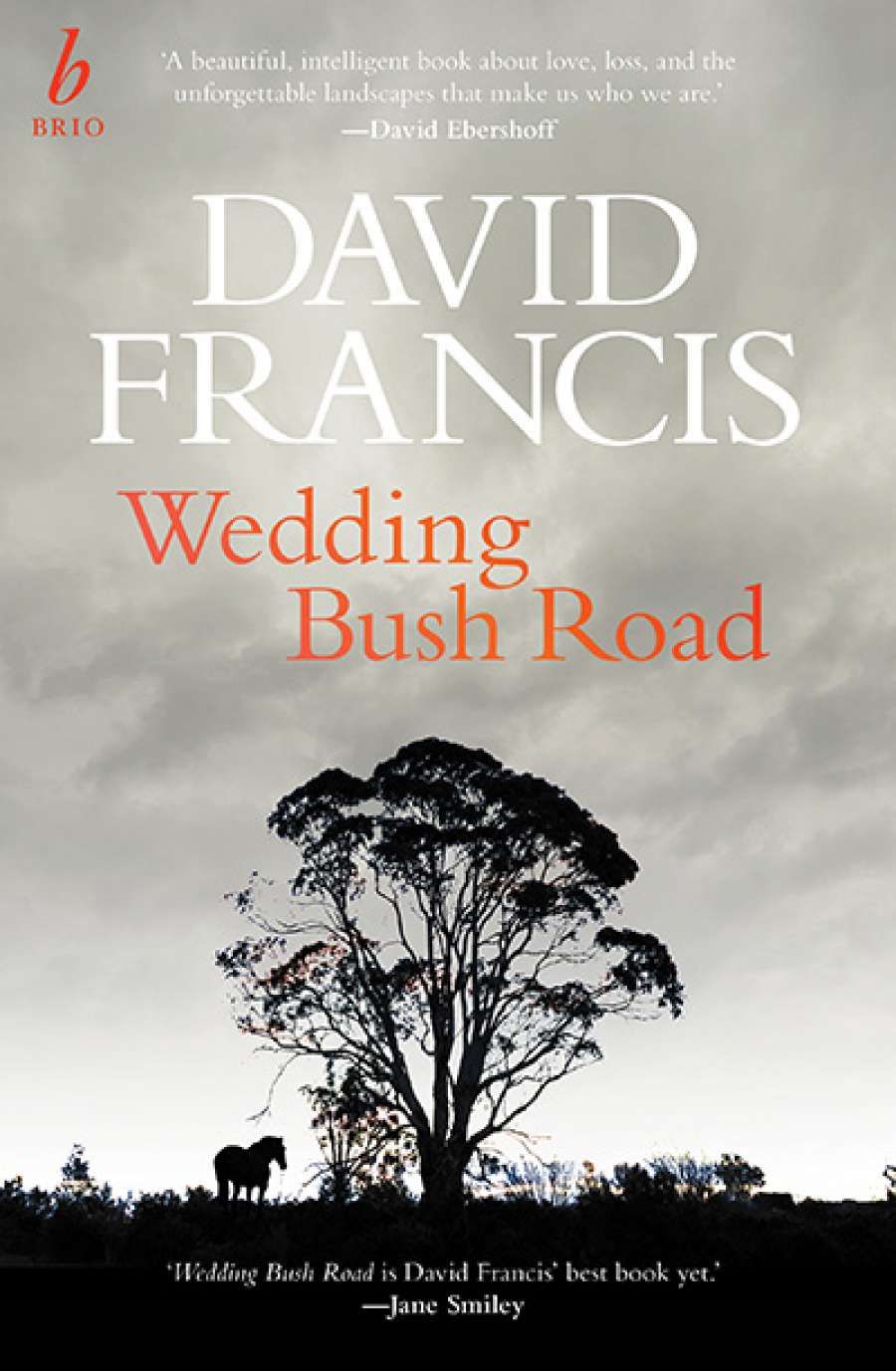 Fiona Gruber reviews Wedding Bush Road by David Francis
