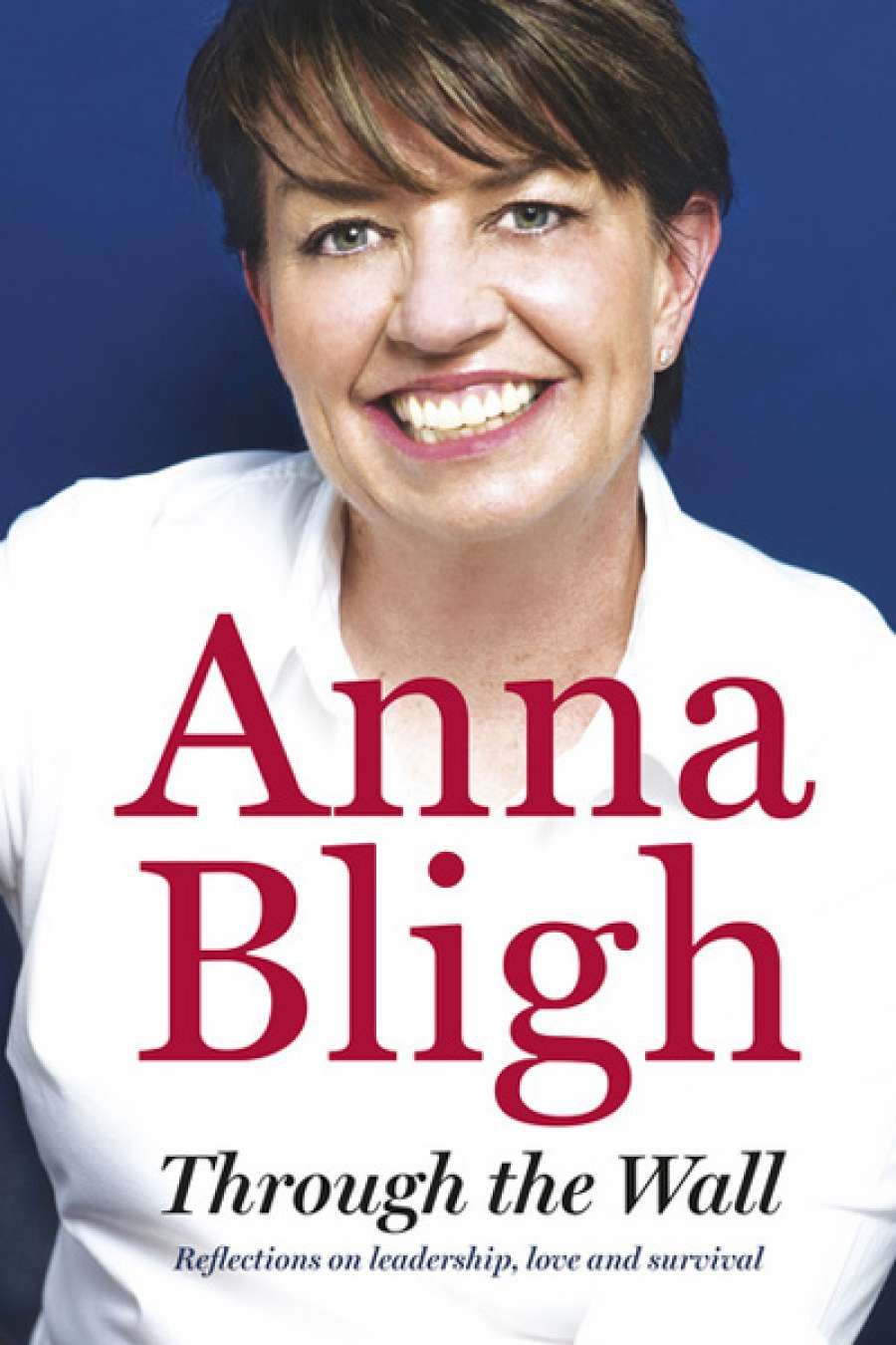 Lyndon Megarrity reviews Through the Wall by Anna Bligh
