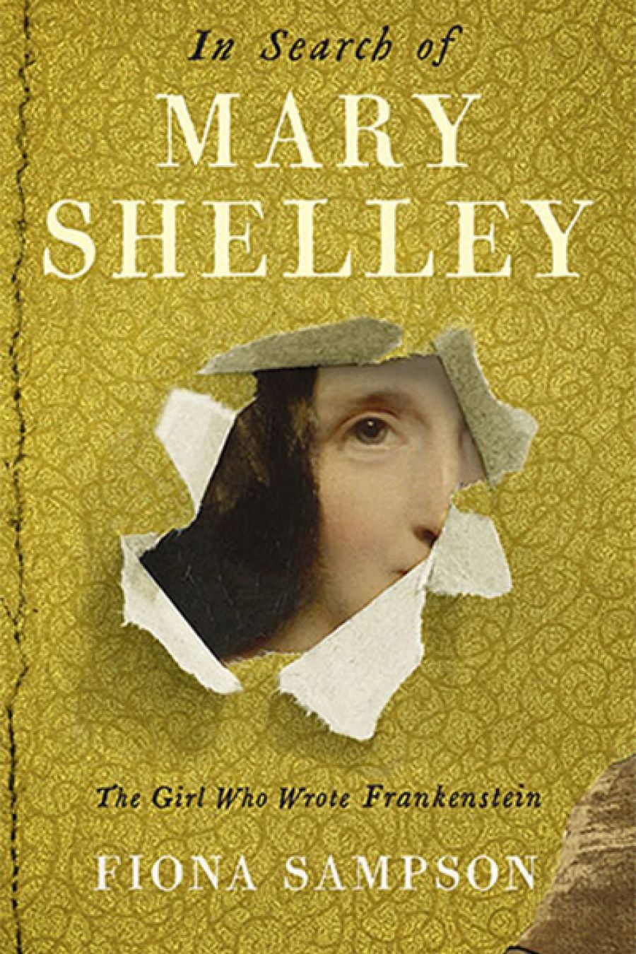 Geordie Williamson reviews In Search of Mary Shelley: The girl who wrote Frankenstein by Fiona Sampson