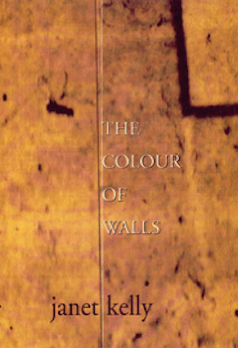 Christopher Bantick reviews The Colour of Walls by Janet Kelly