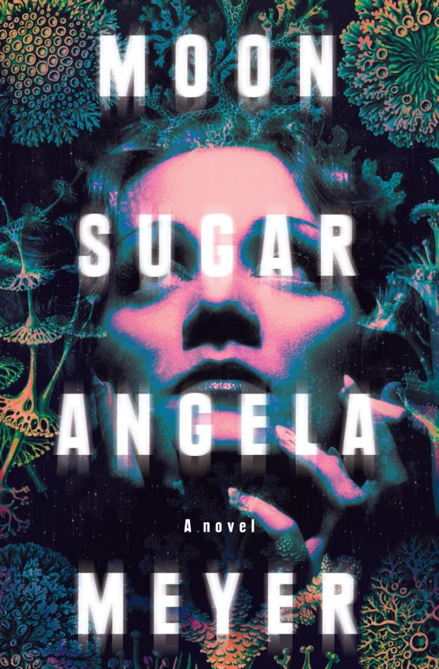 Jennifer Mills reviews Moon Sugar by Angela Meyer