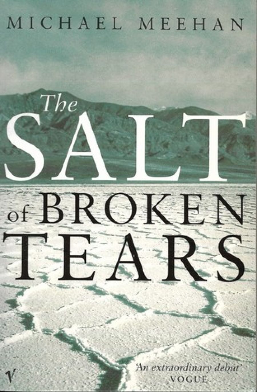 John McLaren reviews The Salt of Broken Tears by Michael Meehan