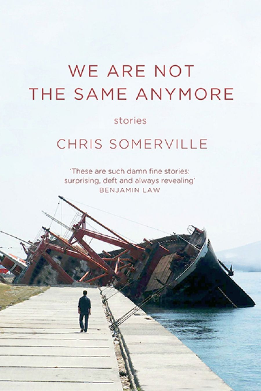 Angela E. Andrewes reviews We Are Not The Same Anymore by Chris Somerville