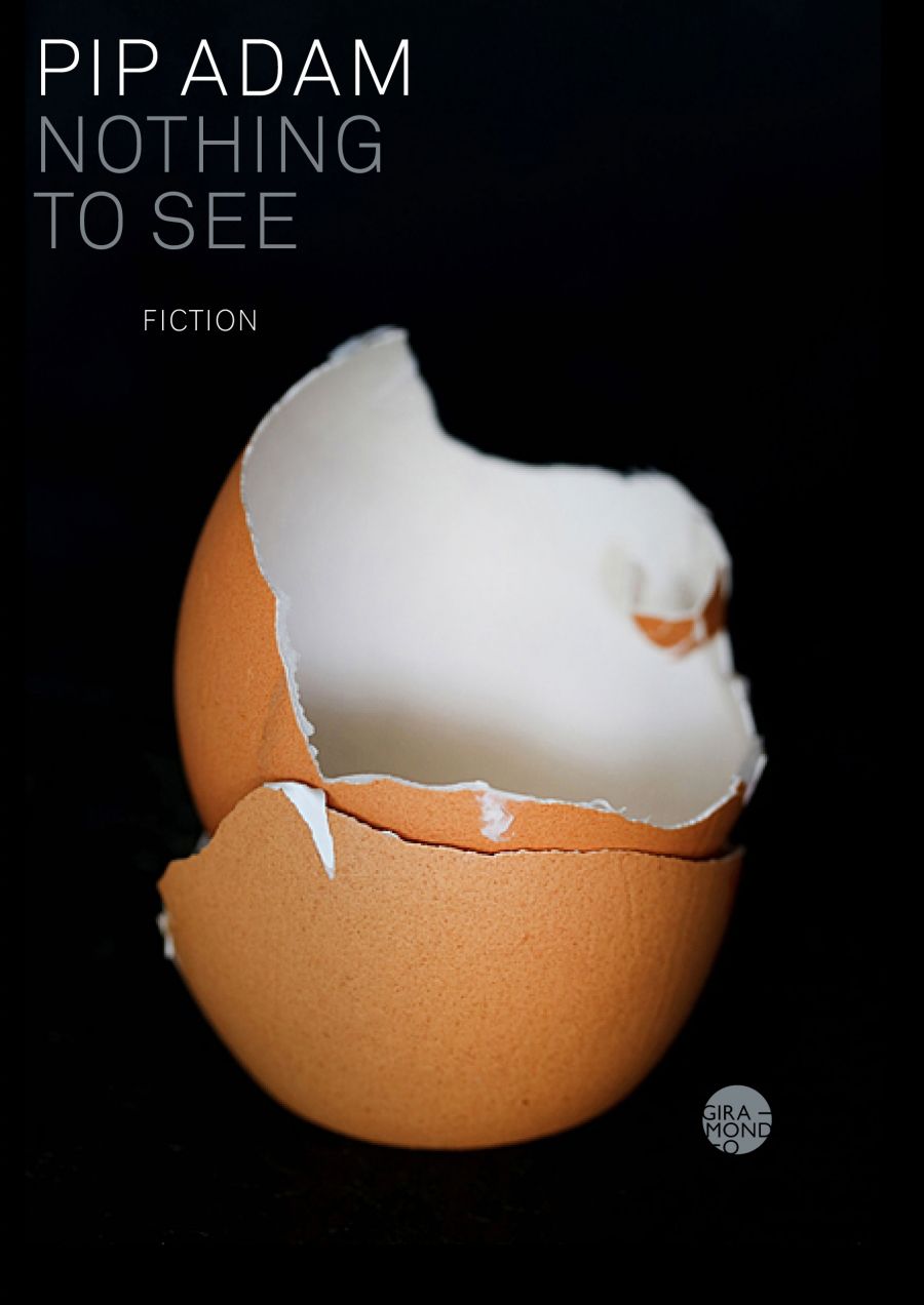 Maks Sipowicz reviews Nothing to See by Pip Adam