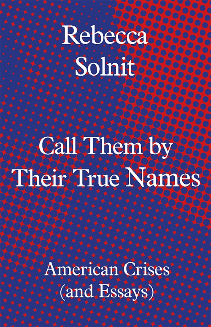 Daniel Juckes reviews Call Them by Their True Names: American crises (and essays) by Rebecca Solnit