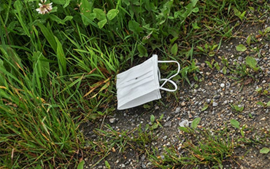 Listening to the science: Coronavirus and climate change by David Holmes