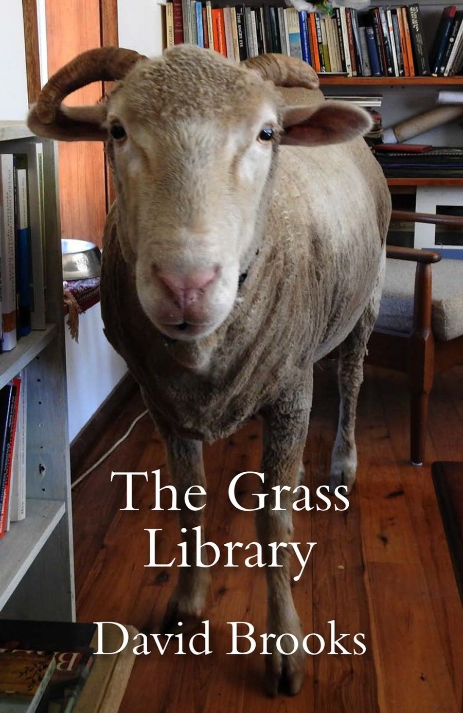 Ben Brooker reviews The Grass Library by David Brooks