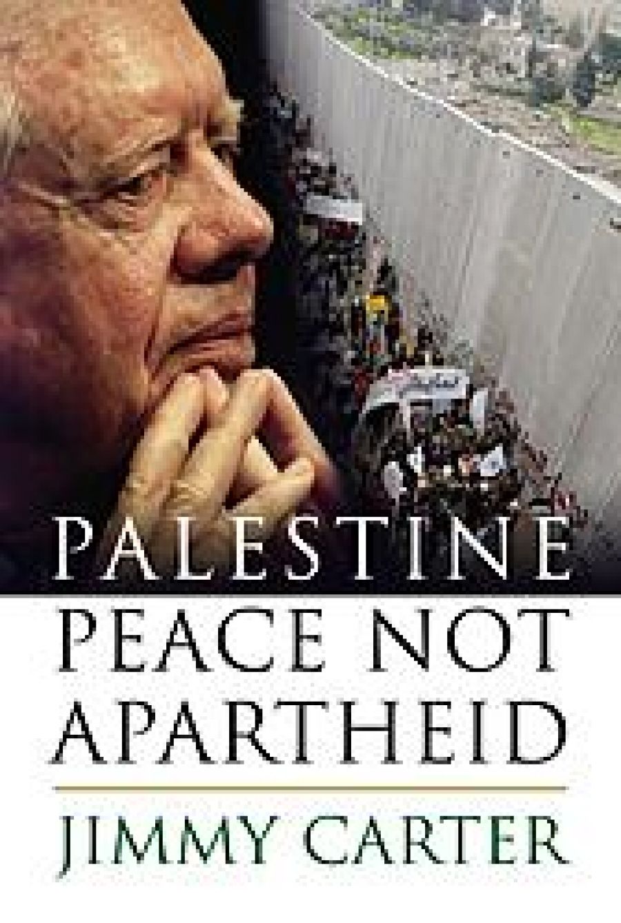 Peter Rodgers reviews Palestine: Peace not apartheid by Jimmy Carter