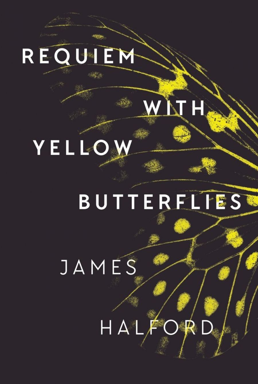 Alice Whitmore reviews Requiem with Yellow Butterflies by James Halford