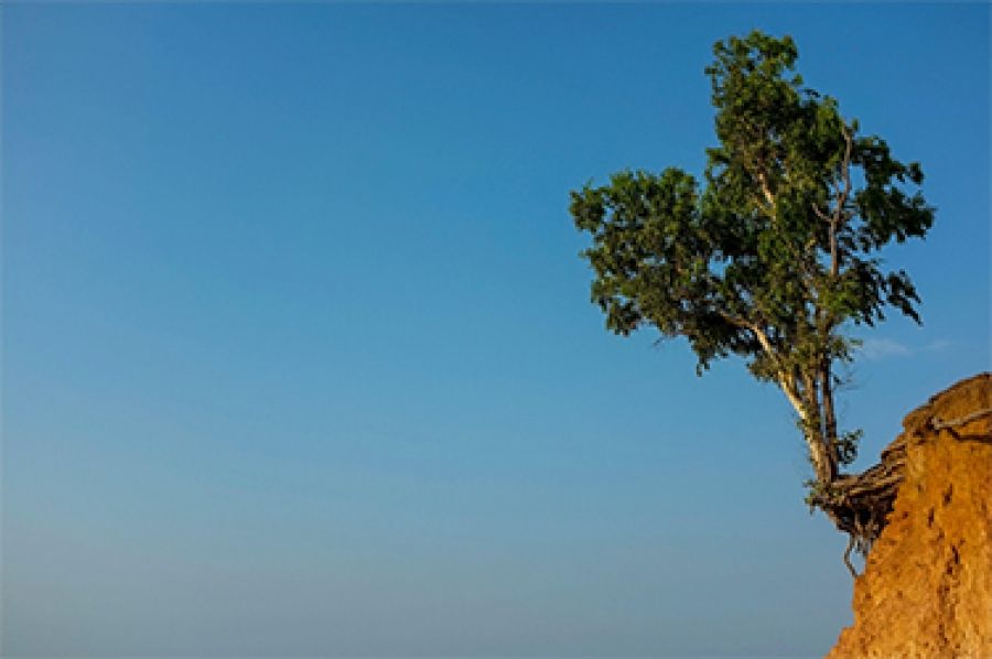 A rubber cudgel of a word: The speciousness of resilience by Anwen Crawford