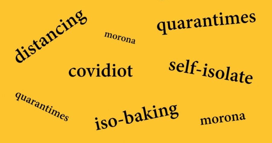 Coronaspeak: Tracking language in a pandemic by Amanda Laugesen