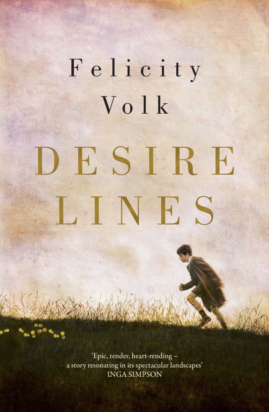 Alice Nelson reviews Desire Lines by Felicity Volk
