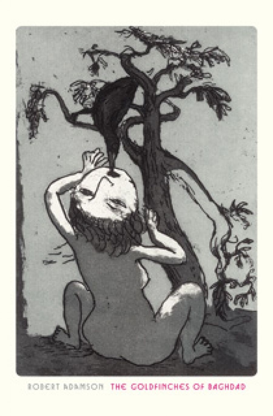 Jaya Savige reviews The Goldfinches of Baghdad by Robert Adamson