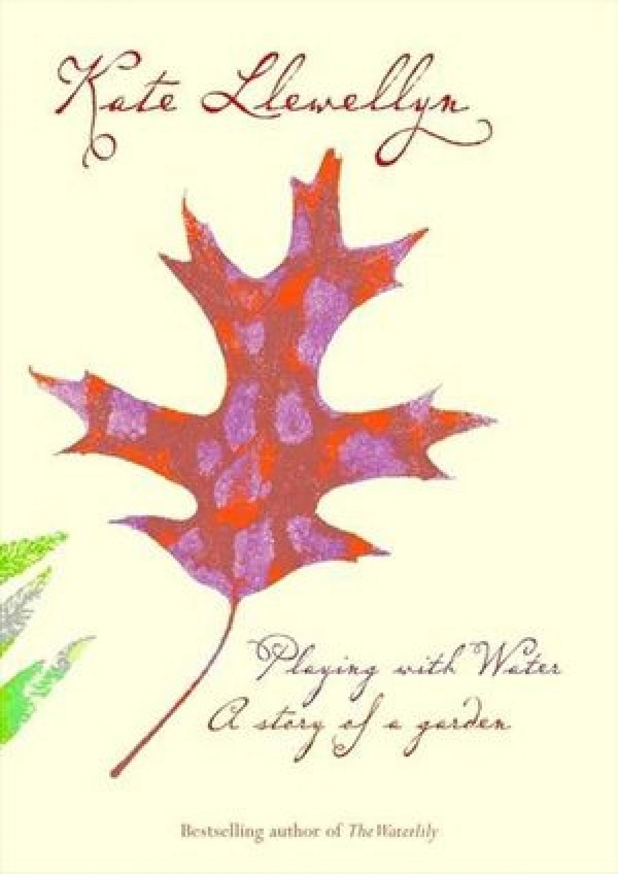Judy Armstrong reviews Playing with Water by Kate Llewellyn