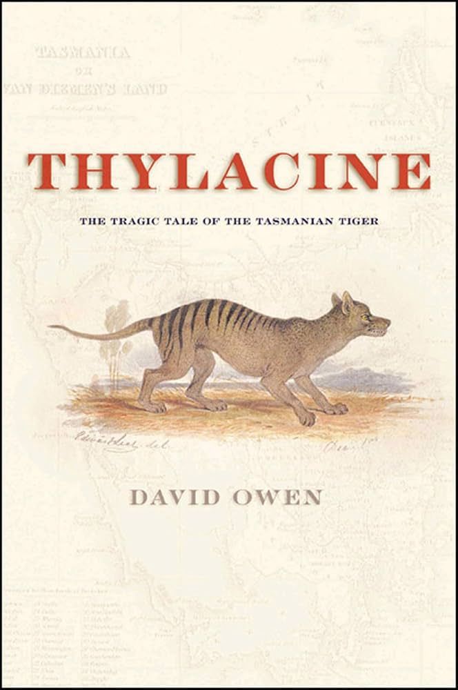 Thylacine: The tragic tale of the Tasmanian tiger