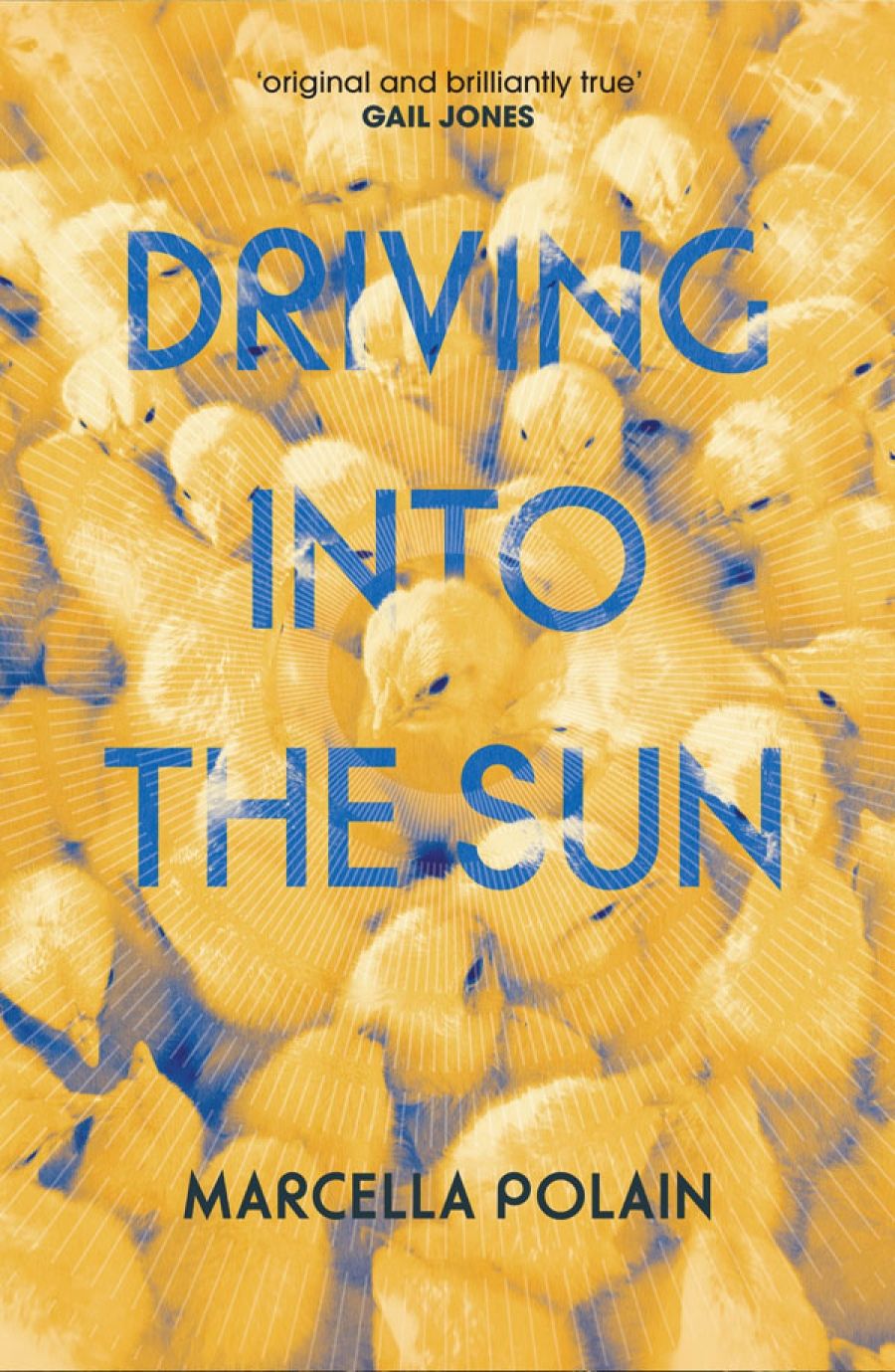 Stephen Dedman reviews Driving Into the Sun by Marcella Polain