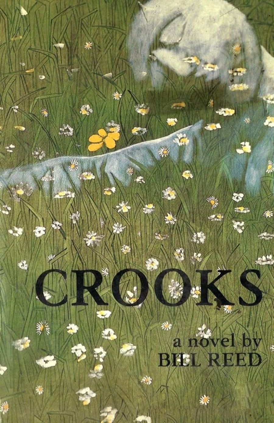 Therese Radic reviews ‘Crooks’ by Bill Reed