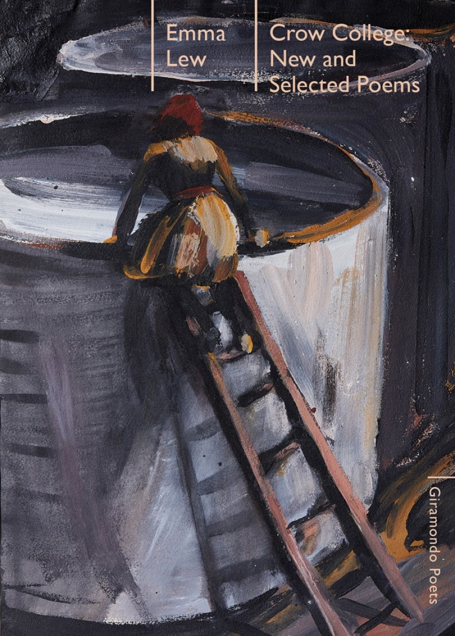 Judith Bishop reviews Crow College: New and selected poems by Emma Lew