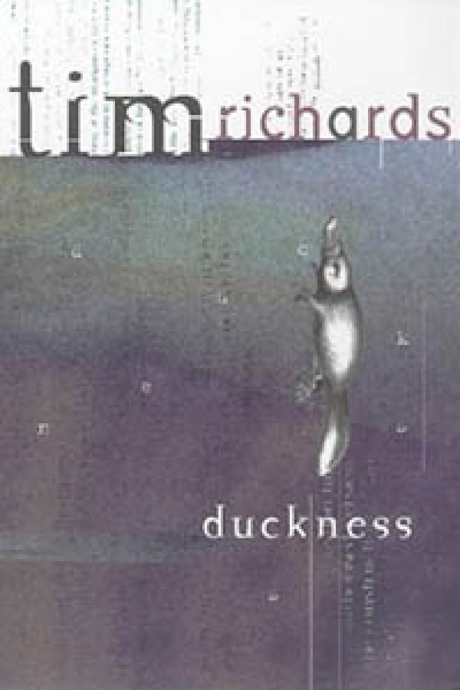 Gail Jones reviews Duckness by Tim Richards