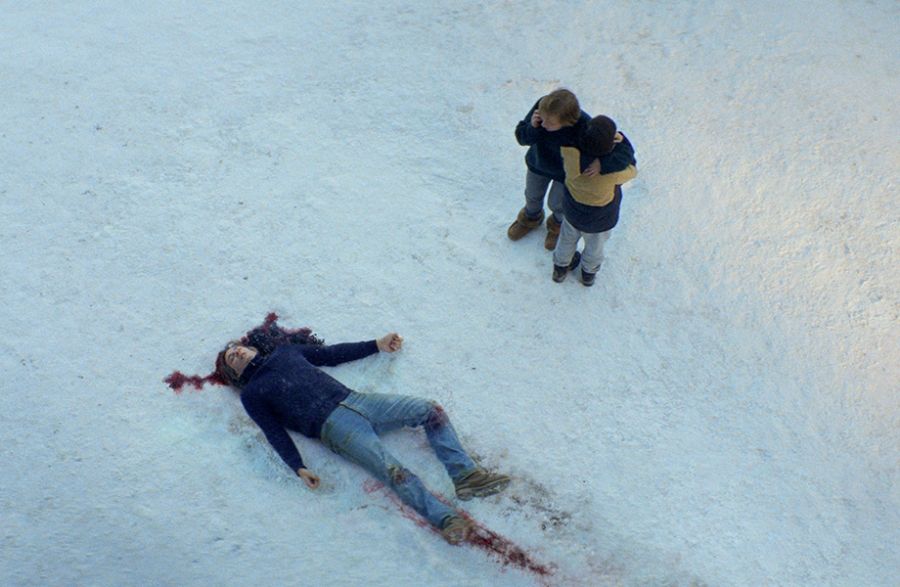 Anatomy of a Fall: Slippery meaning and conflicting stories by Tiia Kelly