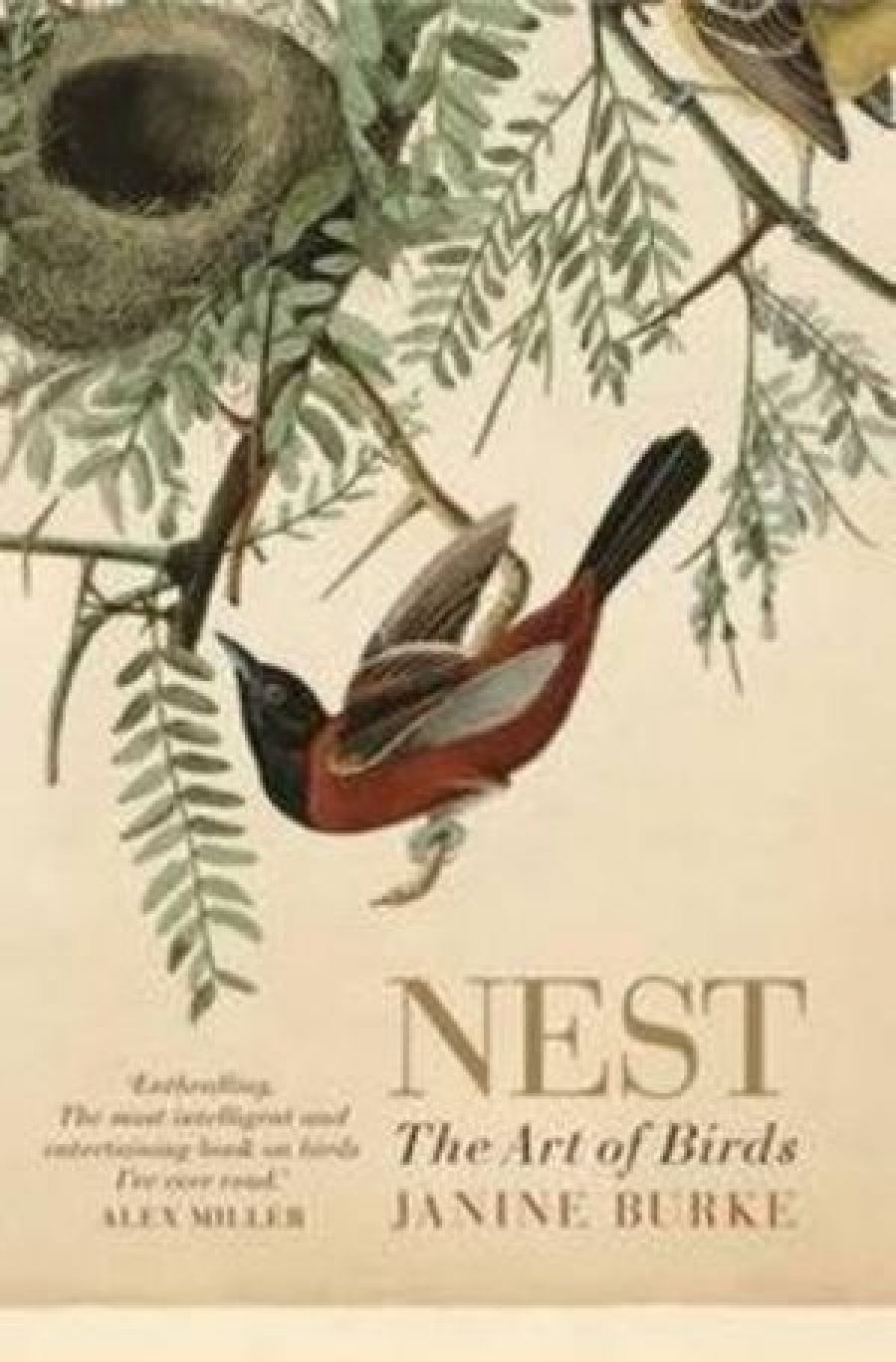 Gay Bilson reviews Nest: The Art of Birds by Janine Burke
