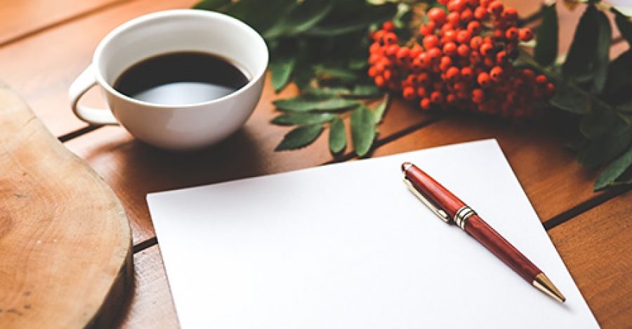 Jolley Prize 2018 (Shortlisted): Between the Mountain and the Sea by Sharmini Aphrodite