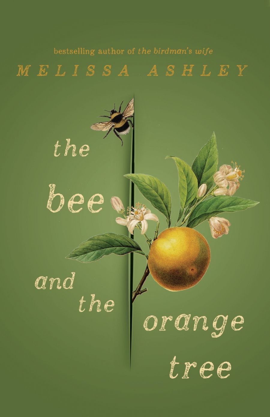 Lisa Bennett reviews The Bee and the Orange Tree by Melissa Ashley