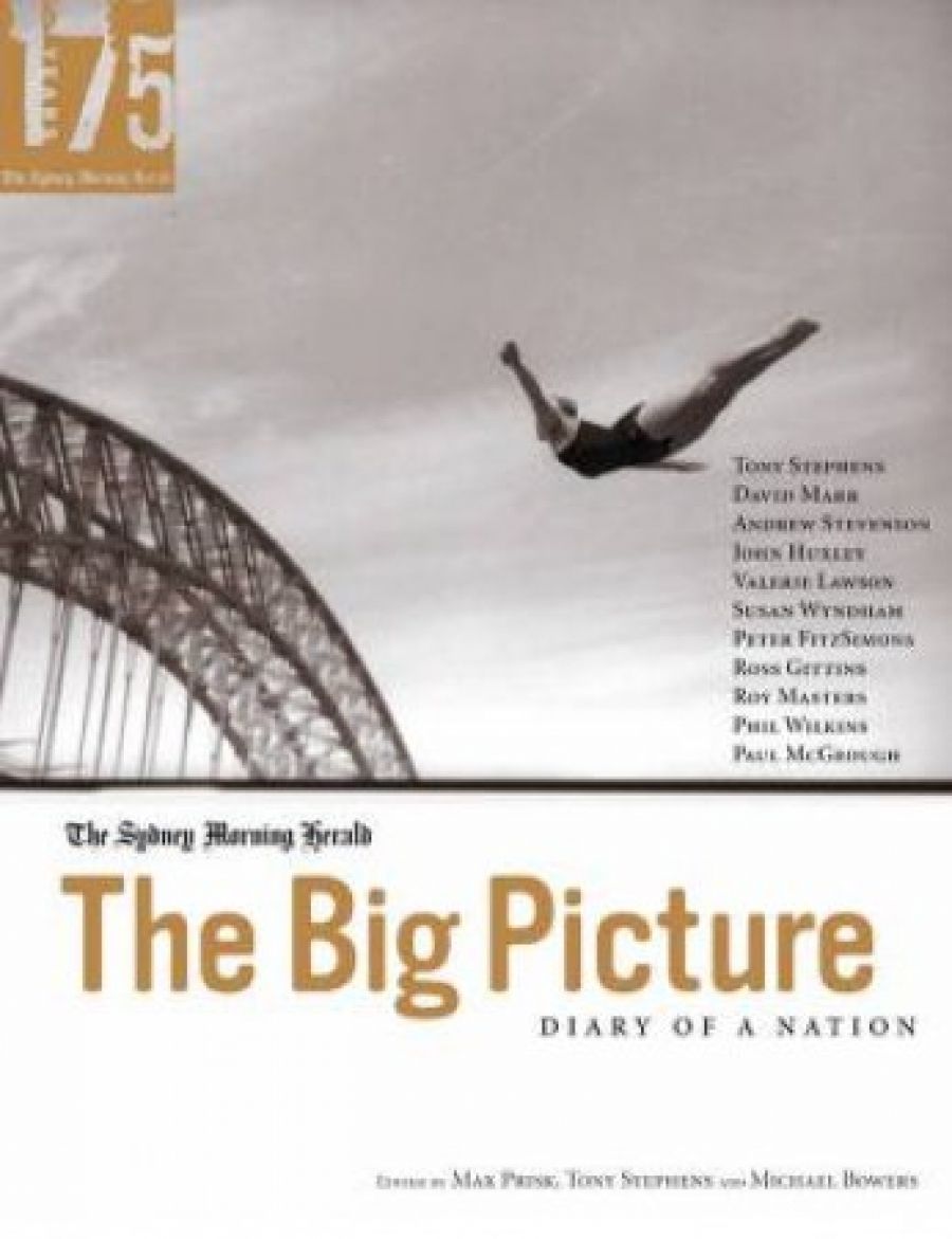 John Thompson reviews ‘The Big Picture: Diary of a nation’ edited by Max Prisk et al.
