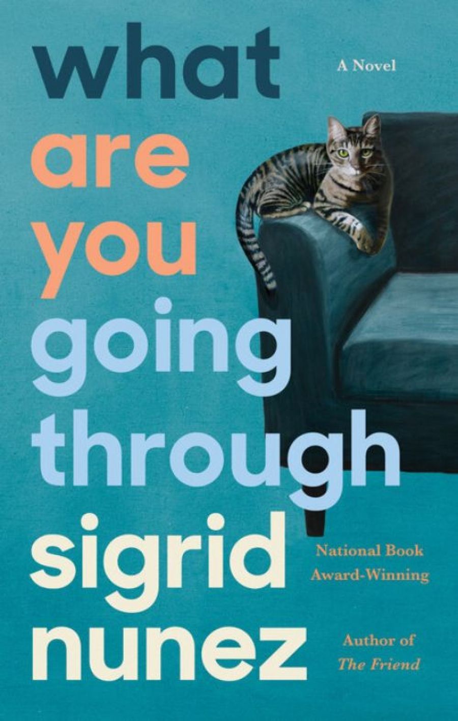 Brenda Walker reviews What Are You Going Through: A novel by Sigrid Nunez
