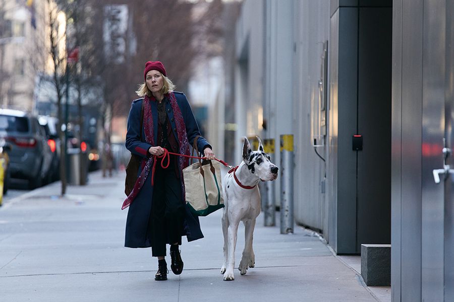 ‘The Friend: Nunez’s novel becomes dog saves woman and woman saves dog’ by Anwen Crawford