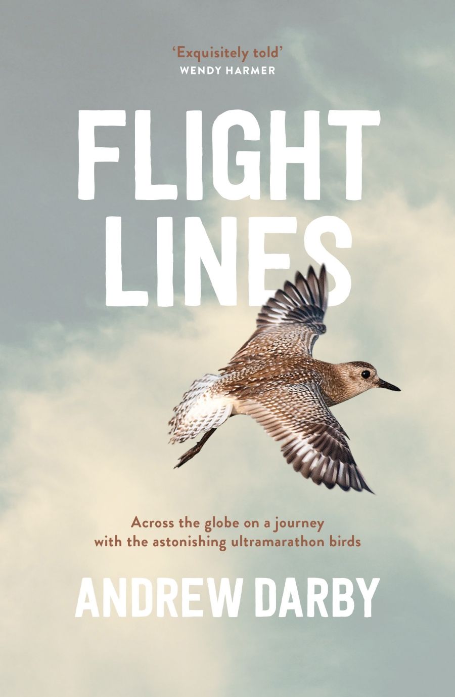 Andrew Fuhrmann reviews Flight Lines: Across the globe on a journey with the astonishing ultramarathon birds by Andrew Darby