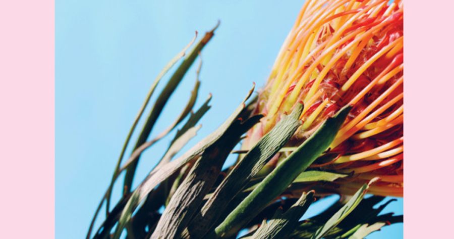 Anthony Lynch reviews ‘Time Together’ by Luke Horton