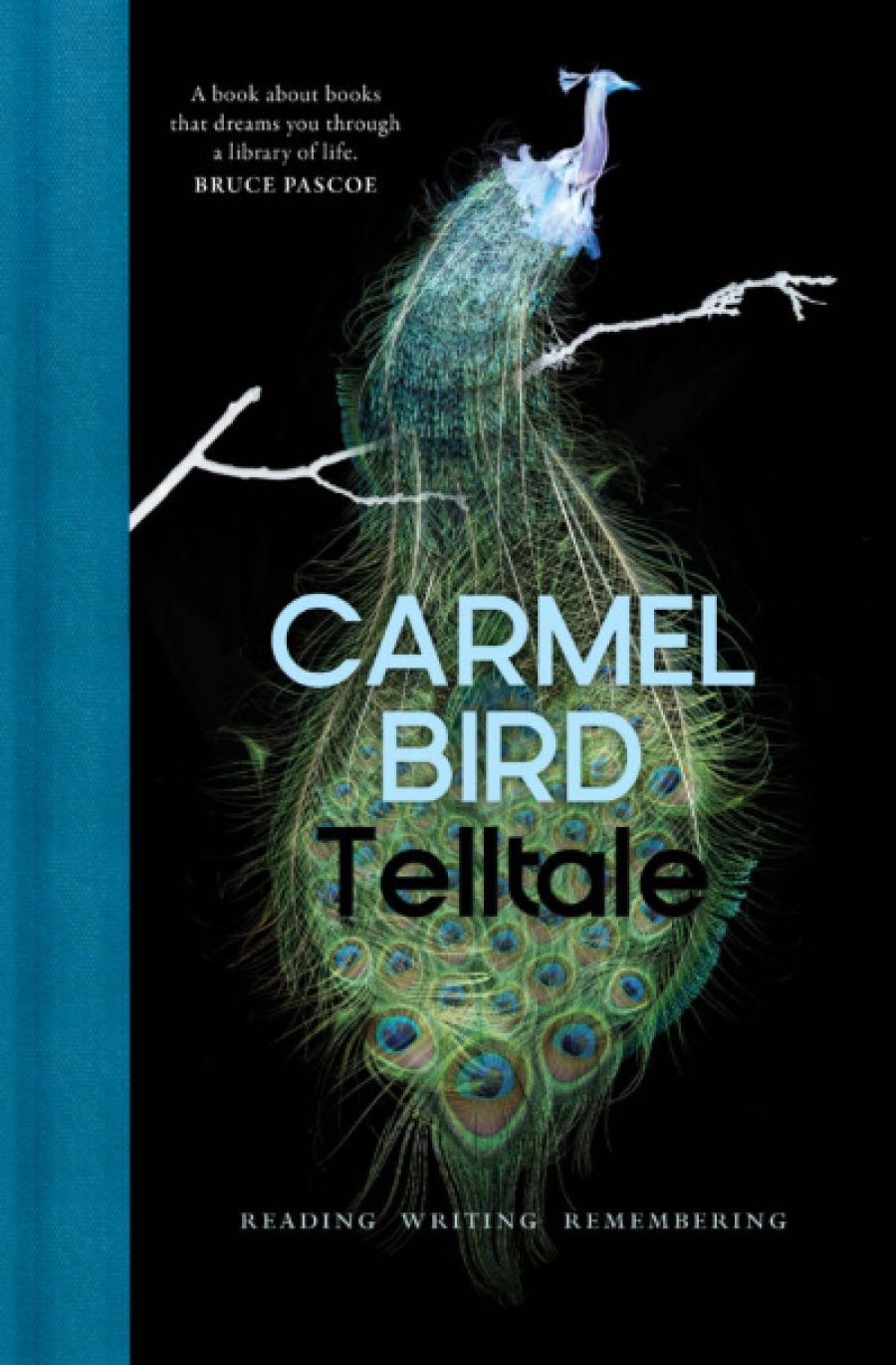 Gregory Day reviews Telltale: Reading writing remembering by Carmel Bird