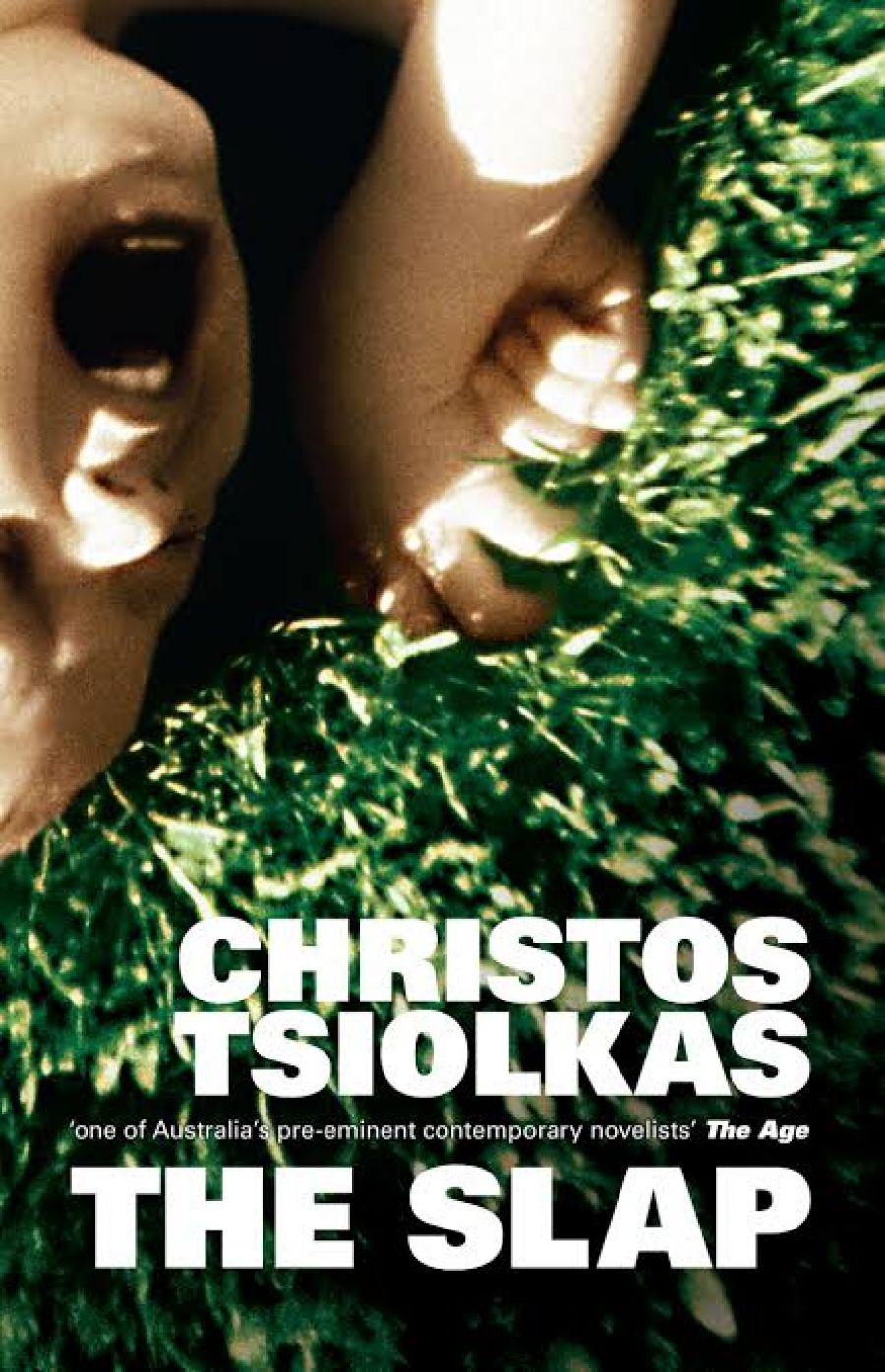 James Ley reviews The Slap by Christos Tsiolkas