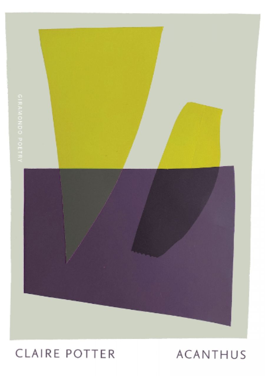 Sarah Day reviews Acanthus by Claire Potter and Glass Flowers by Diane Fahey