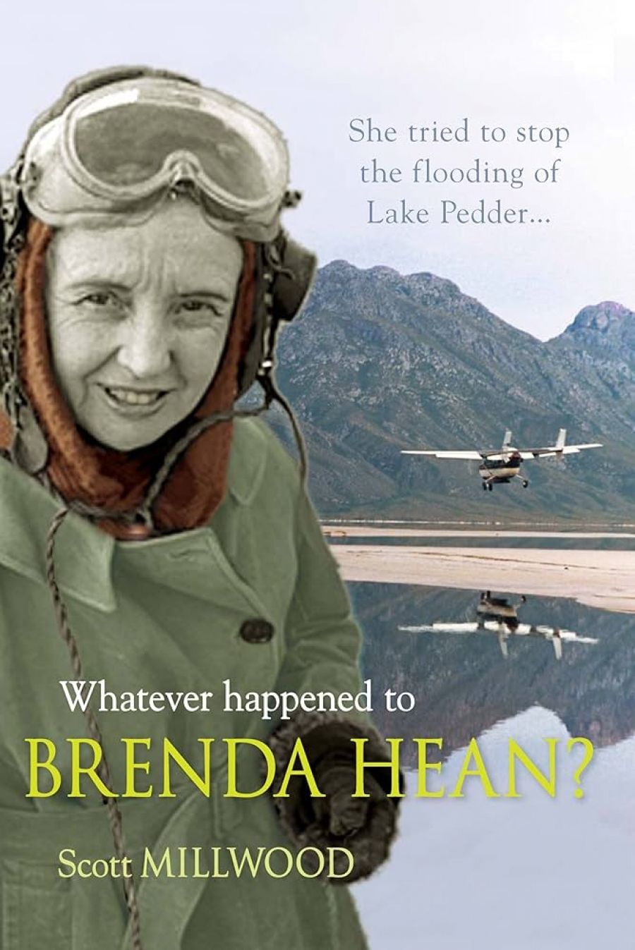 Jay Daniel Thompson reviews Whatever Happened To Brenda Hean? by Scott Millwood
