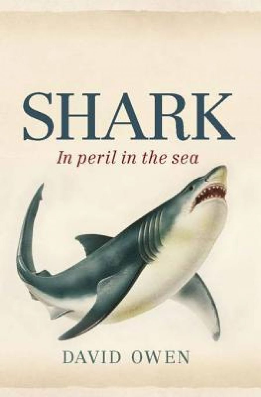Kathleen Steele reviews Shark: In peril in the sea by David Owen