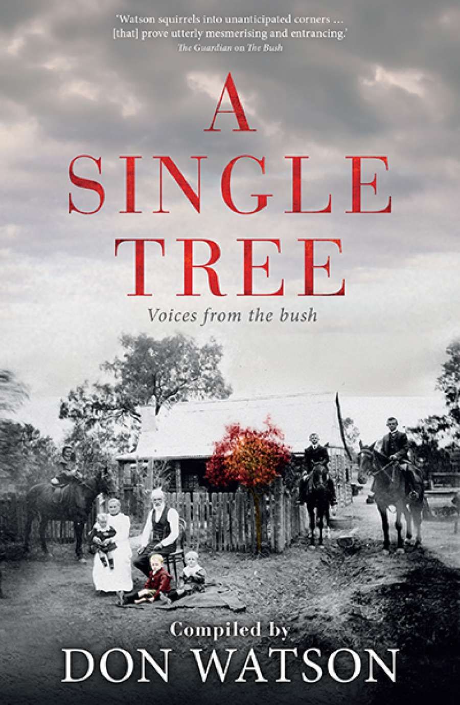 Angelo Loukakis reviews A Single Tree: Voices from the bush compiled by Don Watson