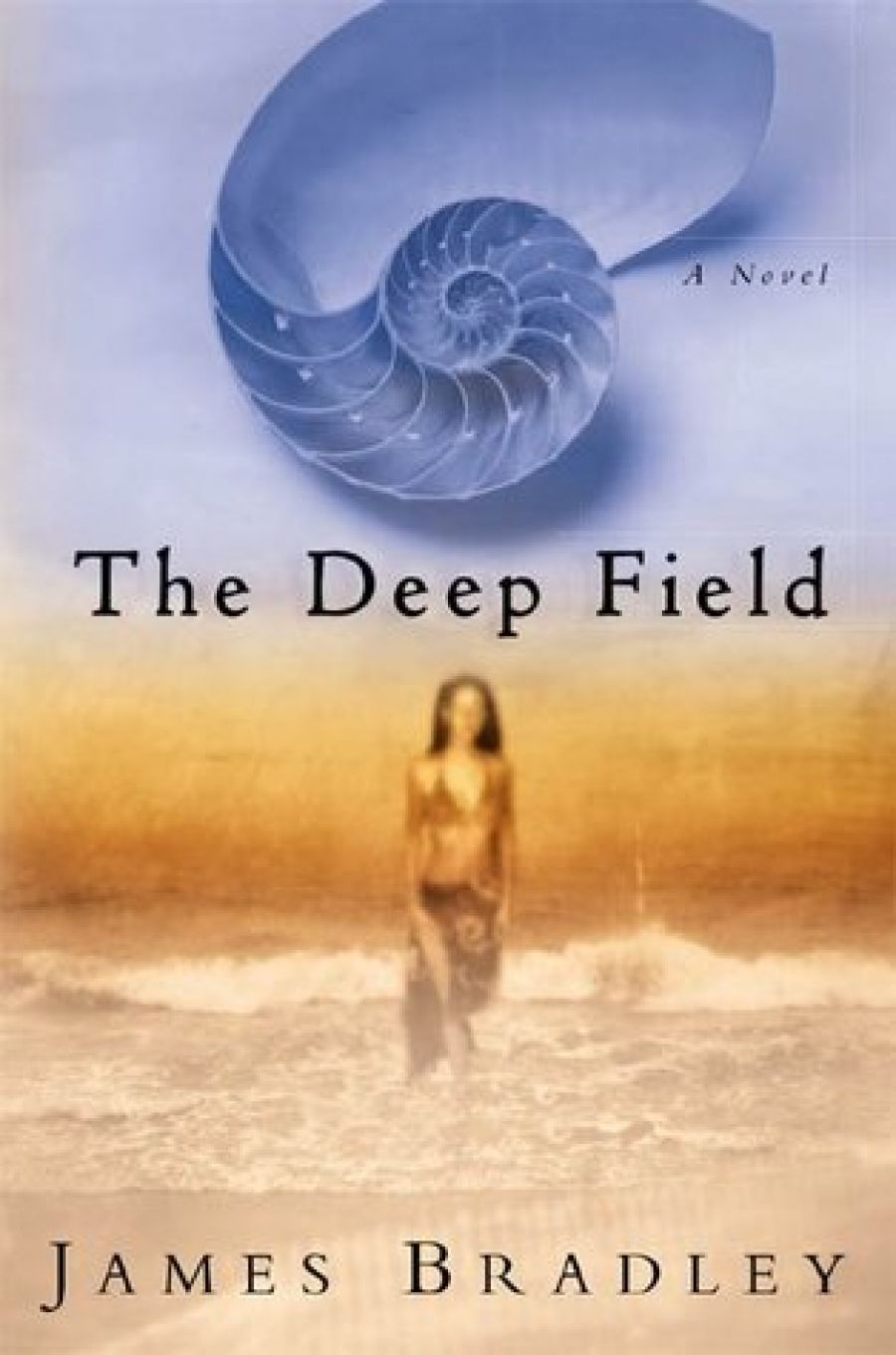Andrew Riemer reviews The Deep Field by James Bradley