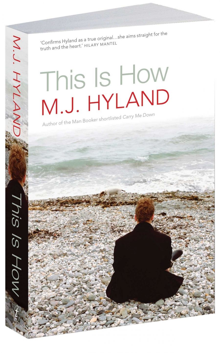 Rebecca Starford reviews This Is How by M.J. Hyland